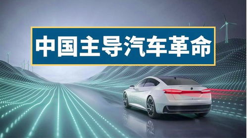 新能源汽车在中国市场的普及情况