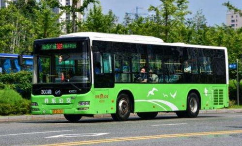 公交车 公交车