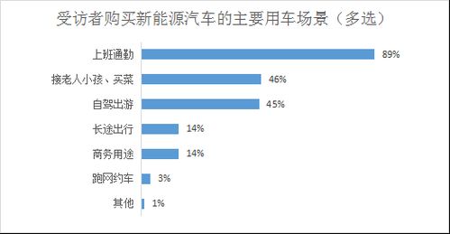 国内新能源汽车价格解析，选择与预算的平衡