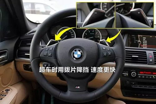 小汽车换挡拨片的市场现状与价格分析