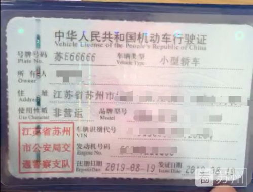 密山汽车牌照的价格与选择