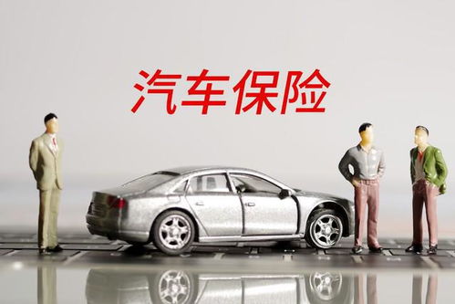 了解您的车辆