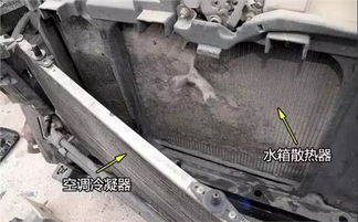 汽车水箱加热管的市场行情及价格分析 汽车水箱加热管的市场行情及价格分析