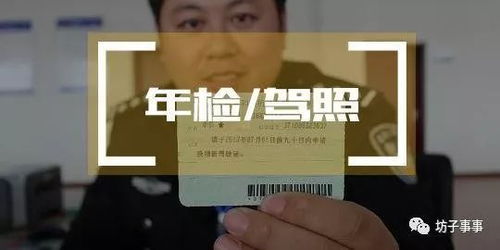 湖州汽车代办年检费用详解，如何节省开支与注意事项