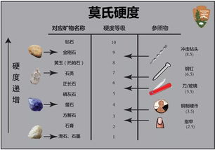 材料选择