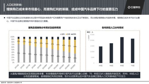 国产汽车市场现状与未来展望