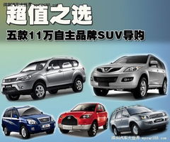 品牌与车型选择 品牌与车型选择
