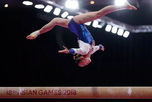 中国女子体操队勇夺全运会金牌
