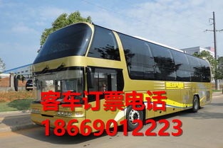 清远到湛江的长途汽车信息