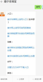 补办汽车牌照的费用与流程详解