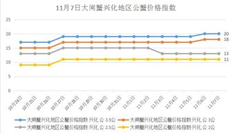 市场行情分析