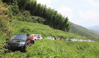 从石门到夹山的汽车费用