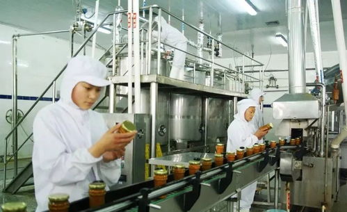 汽车喷水池的种类与价格分析