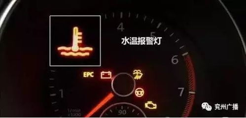 汽车故障解读，油温与水温异常分析