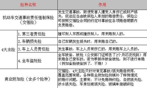 主要车险类型