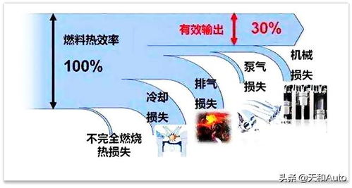 燃油效率与发动机类型