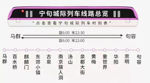 武昌至福州的汽车票价解析，性价比与出行指南