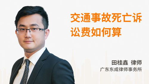 交通事故诉讼费用详解