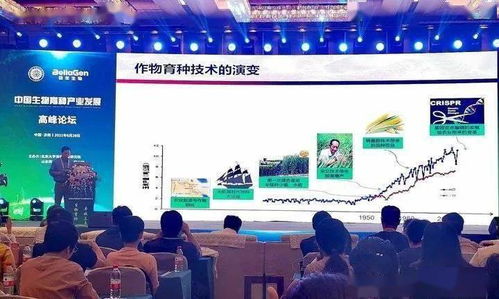 汽车高压线的长度与安全标准解析