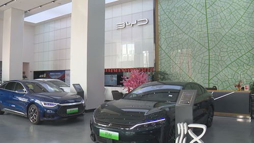 母婴店购买电动汽车的经济考量与消费指南