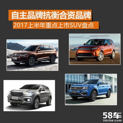 车型与品牌的影响