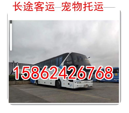 天水至汉中汽车票价格 天水至汉中汽车票价格