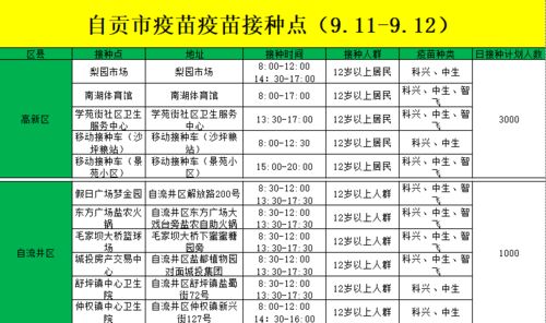 资阳至自贡汽车票价解析，交通出行的经济选择