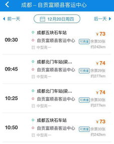 成都至富顺汽车票价解析