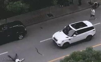 故意被汽车撞死赔多少天？