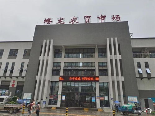 麻城市现有多少家汽车站？