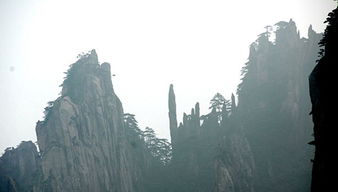 从重庆出发，探索黄山的自然美景与人文风情