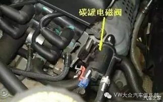 详解，汽车售后碳罐包的使用与保养