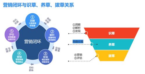 汽车扶手的承重能力，安全与舒适的平衡点