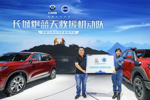 成都市汽车救援价格解析，合理规划与保障安全