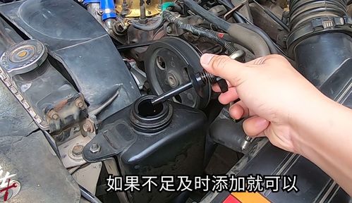 遥控汽车后桥加多少油好
