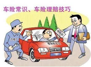 汽车车损险分期购买的真相与风险解析