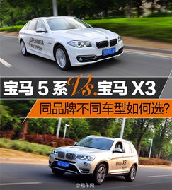 车型与品牌差异