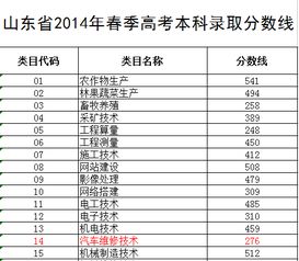 山东汽车修理专业考试分数解析