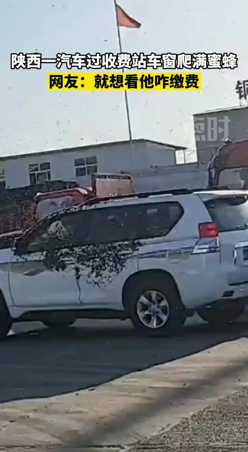 汽车年审会恢复吗？费用问题引关注