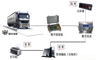 东莞数字汽车衡价格解析