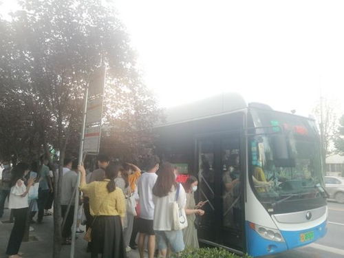公交车与汽车之间的距离比较