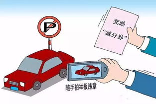 合法速度与违规标准 合法速度与违规标准