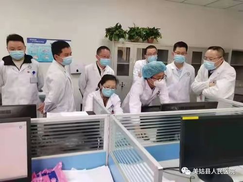 湘阴县汽车保有量调查报告 湘阴县汽车保有量调查报告