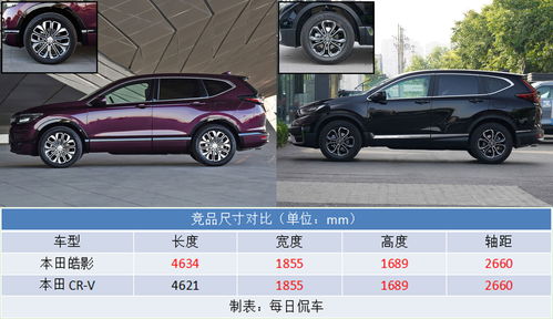 车型与品牌差异
