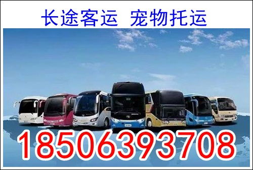 从合肥到舟山的汽车票价