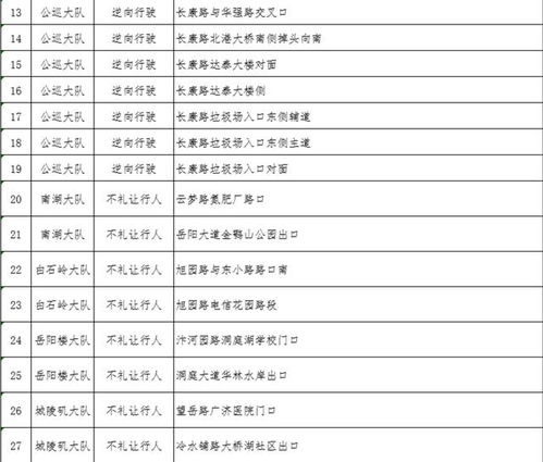 尺八去岳阳的交通费用详解