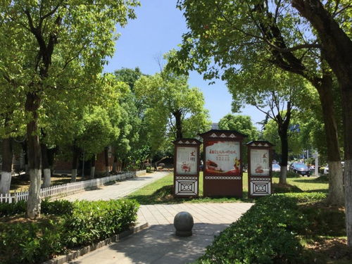 共享儿童汽车，投资价值与未来展望