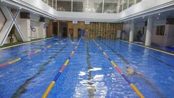 汽车修建游泳池的价格解析