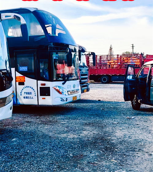 选择一，长途客车