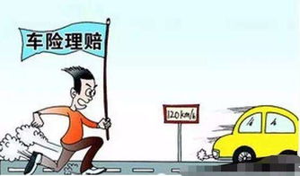 汽车保险的最长理赔年限探讨